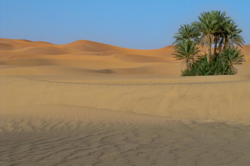 메르주가 Kasbah Tamariste B&B 외부 사진